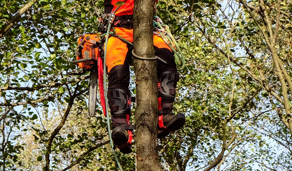 Drzewołazy DR100 Protekt - drzewołazy do wycinki drzew