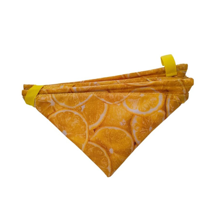 Pojemnik na rzutkę Arborpil - różne wzory