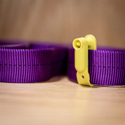 Tag NFC Scannable Jack of all tags