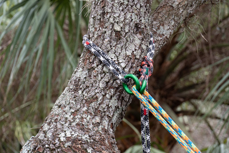 Teufelberger canopyANCHOR Ring