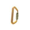 Karabinek stalowy ISC WIZARD D SS 70kN