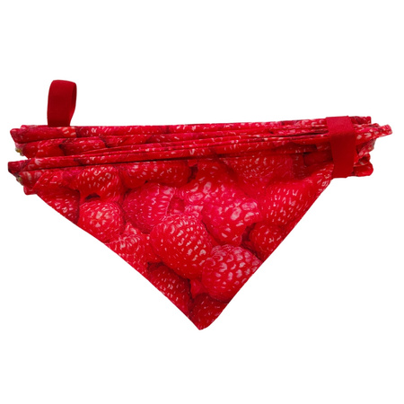 Pojemnik na rzutkę Arborpil - różne wzory