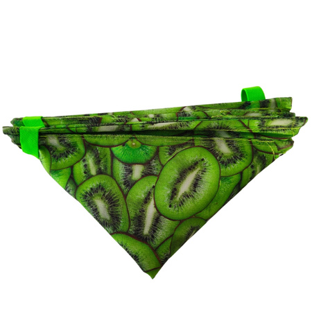 Pojemnik na rzutkę Arborpil - różne wzory