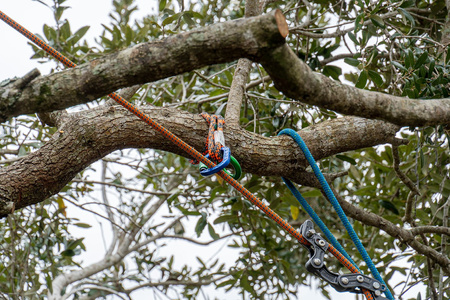 Teufelberger ringSLING