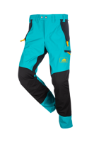 Dragonfly Blue