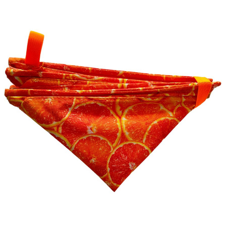 Pojemnik na rzutkę Arborpil - różne wzory