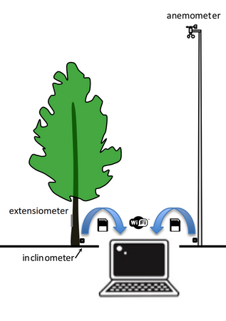 Urządzenie Fakopp DynaTree