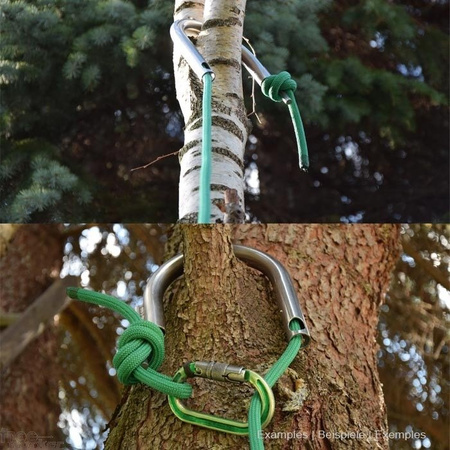 Hak Arborixx Approach