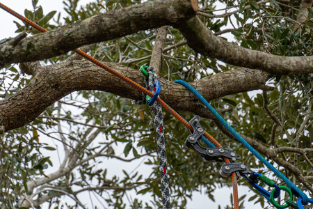 Teufelberger canopyANCHOR Ring