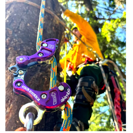 Rock Exotica - Akimbo 2