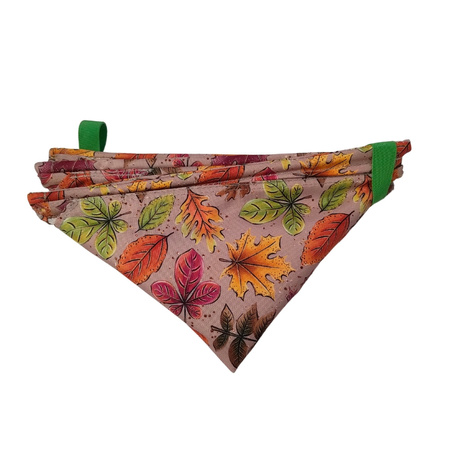 Pojemnik na rzutkę Arborpil - różne wzory