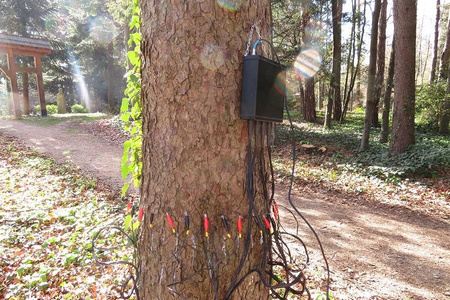 Tomograf Impedancyjny Fakopp ArborElectro