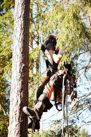 Przyrząd Skylotec SIRIUS