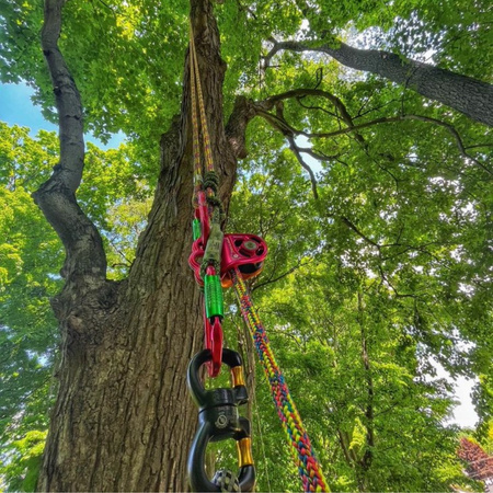 Lina arborystyczna Courant Kalimba 11,9mm + oko
