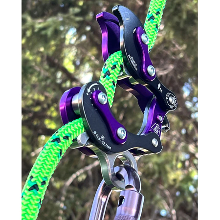 Rock Exotica - Akimbo 2