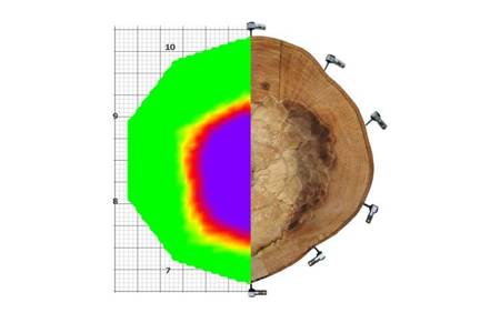 Tomograf akustyczny Fakopp ArborSonic 3D